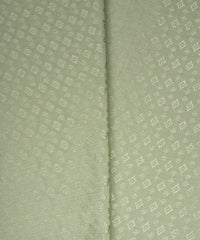 Pista Green Chinnon-Chiffon Fabric with jacquard-1