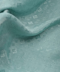 Sea Green Chinnon-Chiffon Fabric with jacquard-1