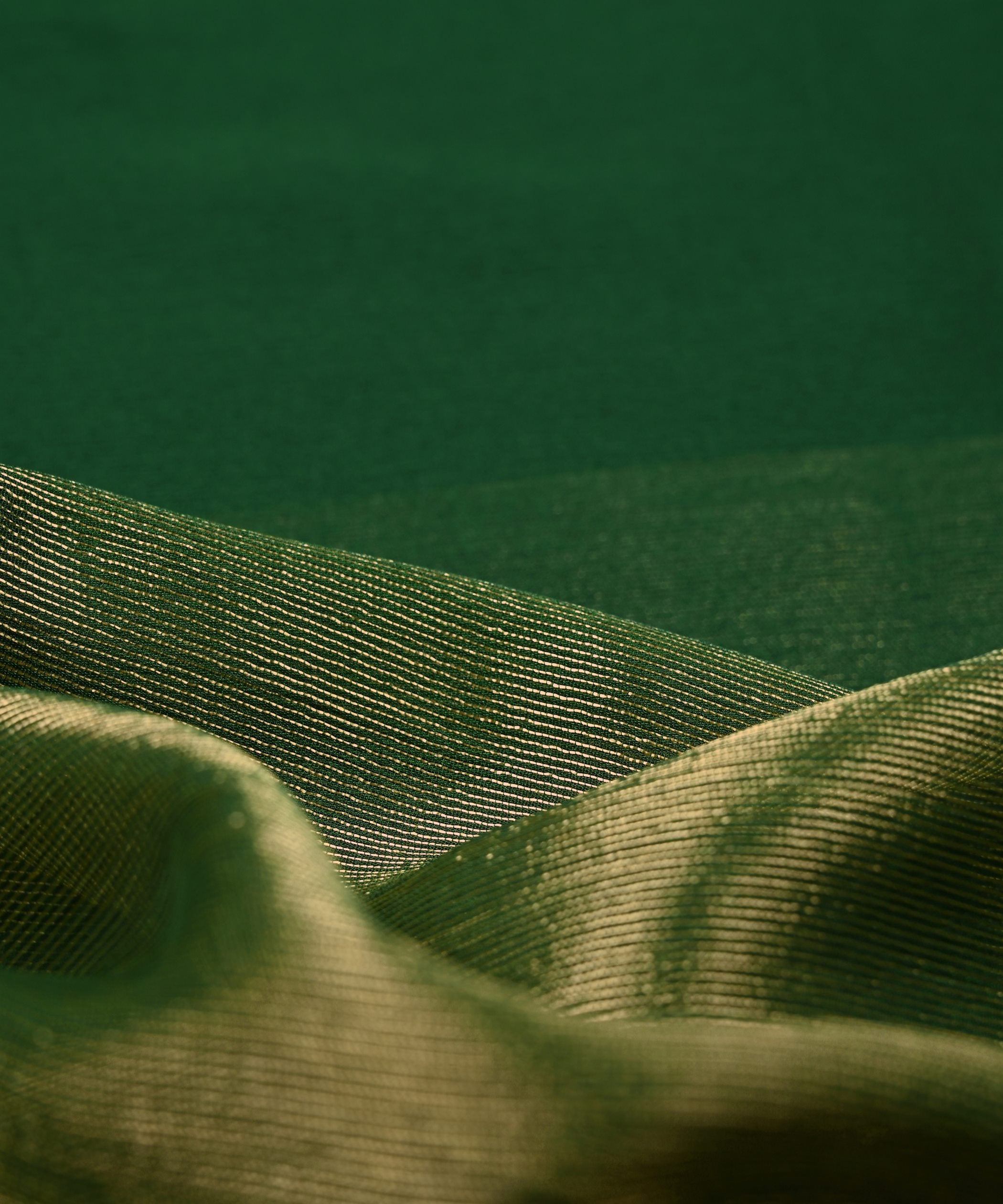 Dark Green Georgette Fabric with Gold Border