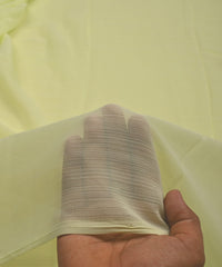 Pista Green Georgette fabric with Lining