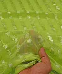 Pista Green Georgette fabric with Zari-1