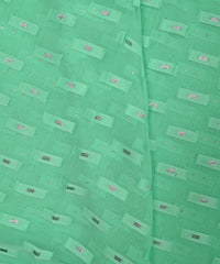 Aquamarine Green Georgette fabric with Zari-2