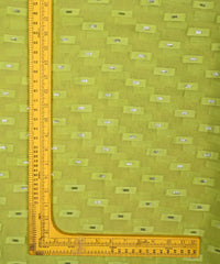 Pista Green Georgette fabric with Zari-2