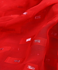 Red Georgette fabric with Zari-2