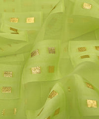 Georgette with Zari Design-Pista Green