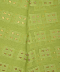 Georgette with Zari Design-Pista Green