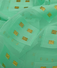 Georgette with Zari Design-Sea Green