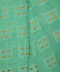 Georgette with Zari Design-Sea Green