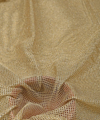 Light Biege Jari Net Fabric