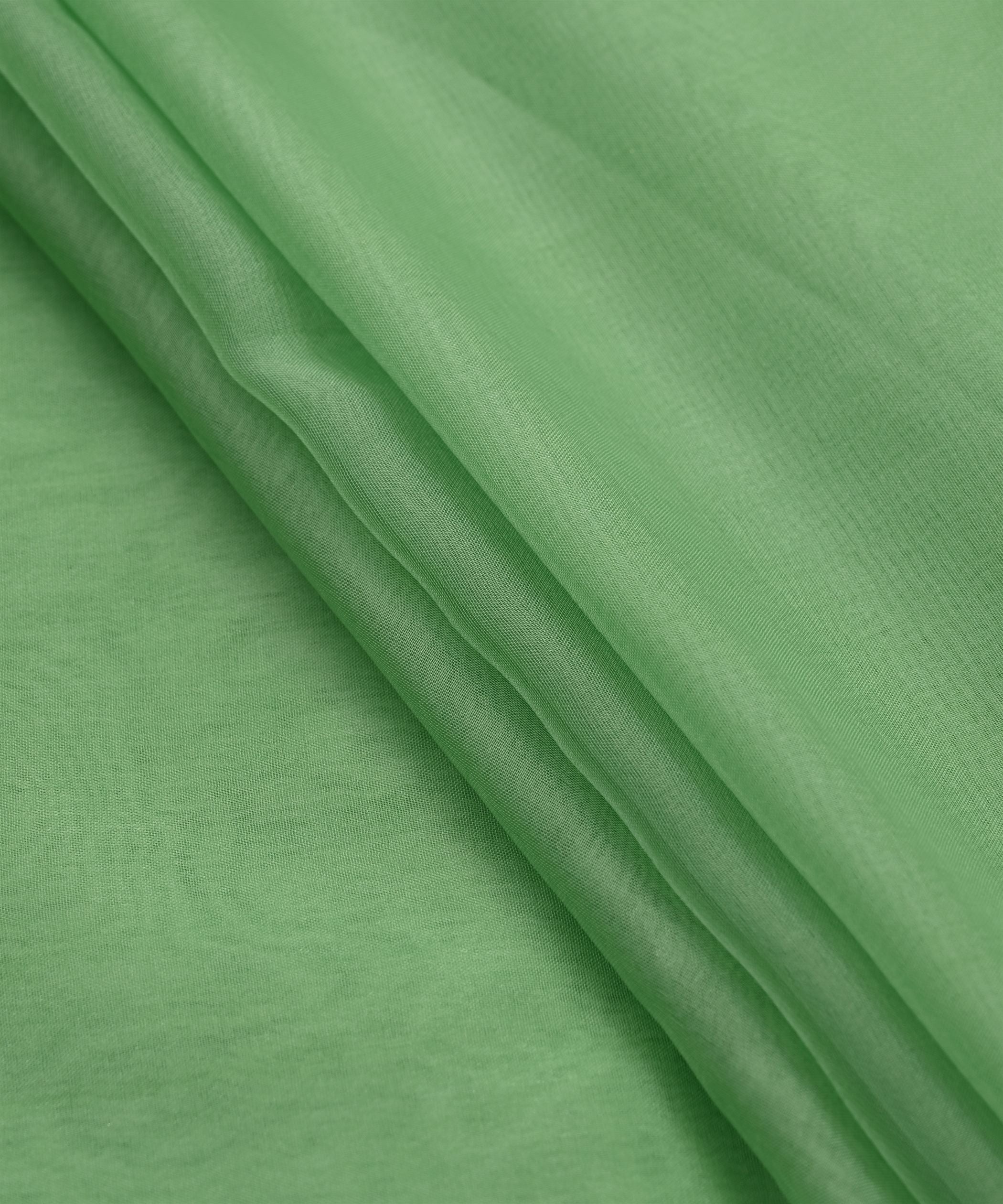 color_Fern Green