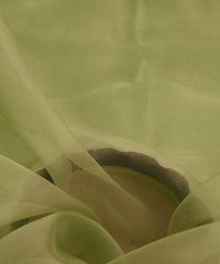 Olive Green Plain Dyed Organza Fabric