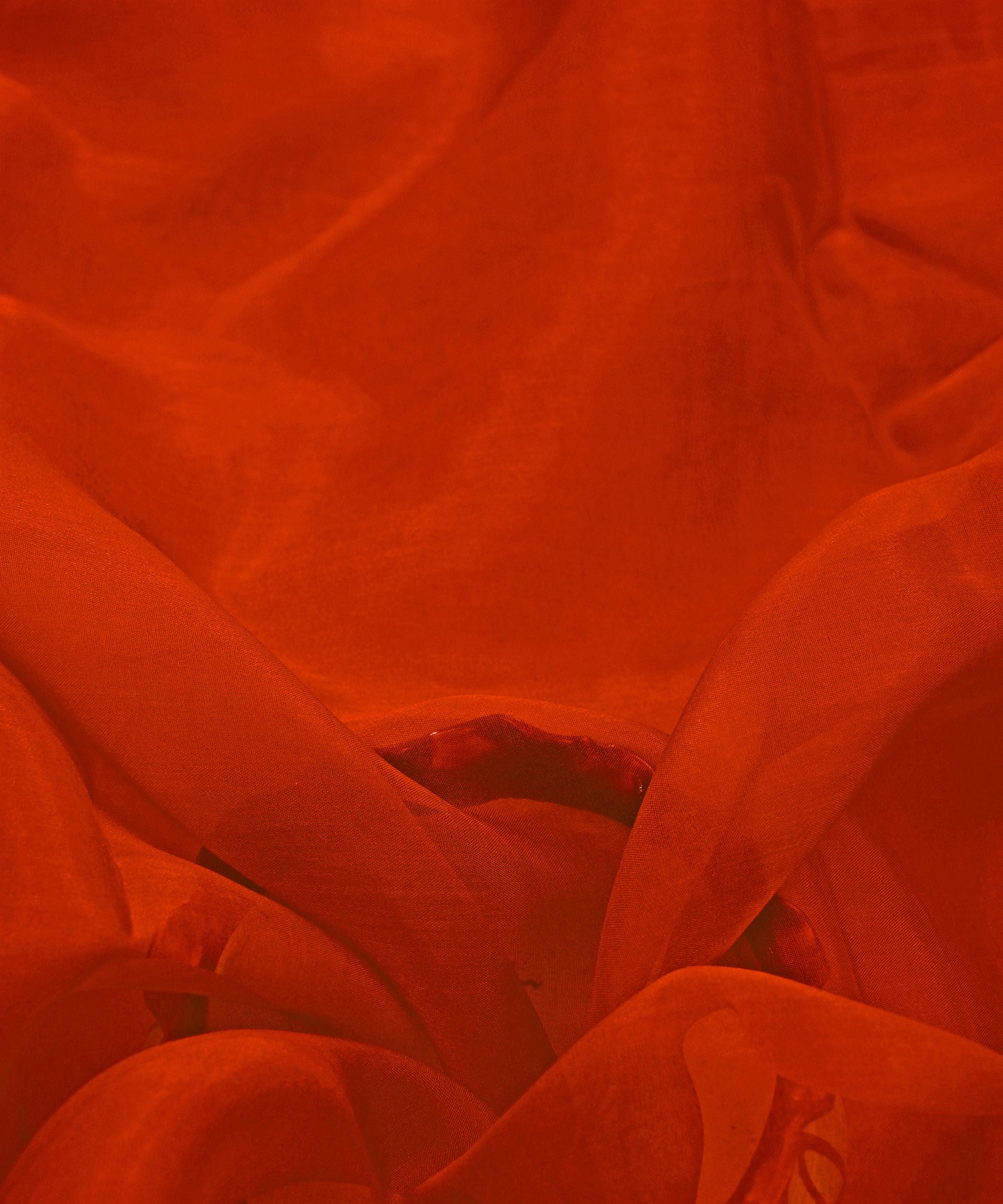 ORGANZA-ORANGE-FEEL0.jpg