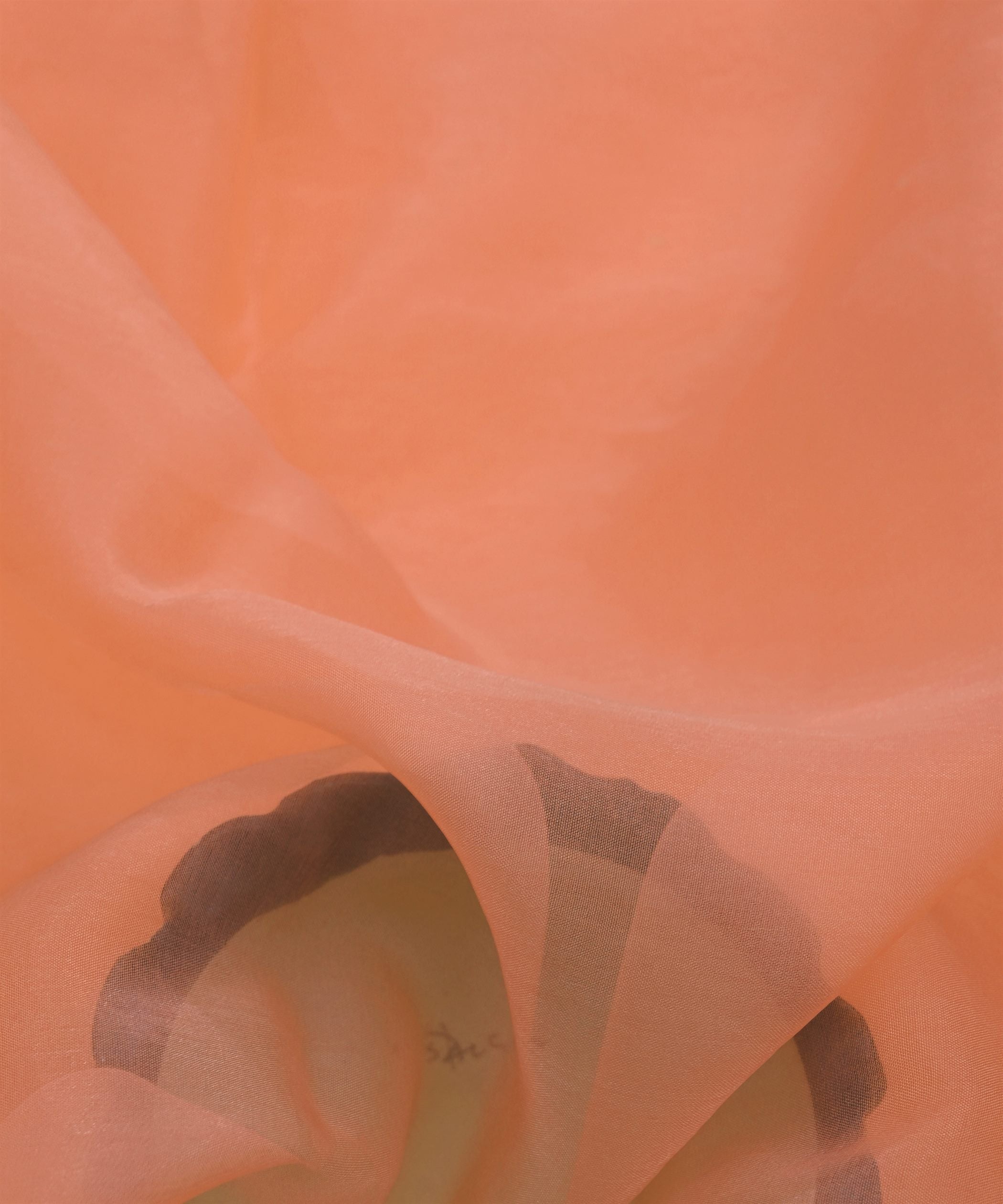 ORGANZA-PEACH-FEEL0.jpg