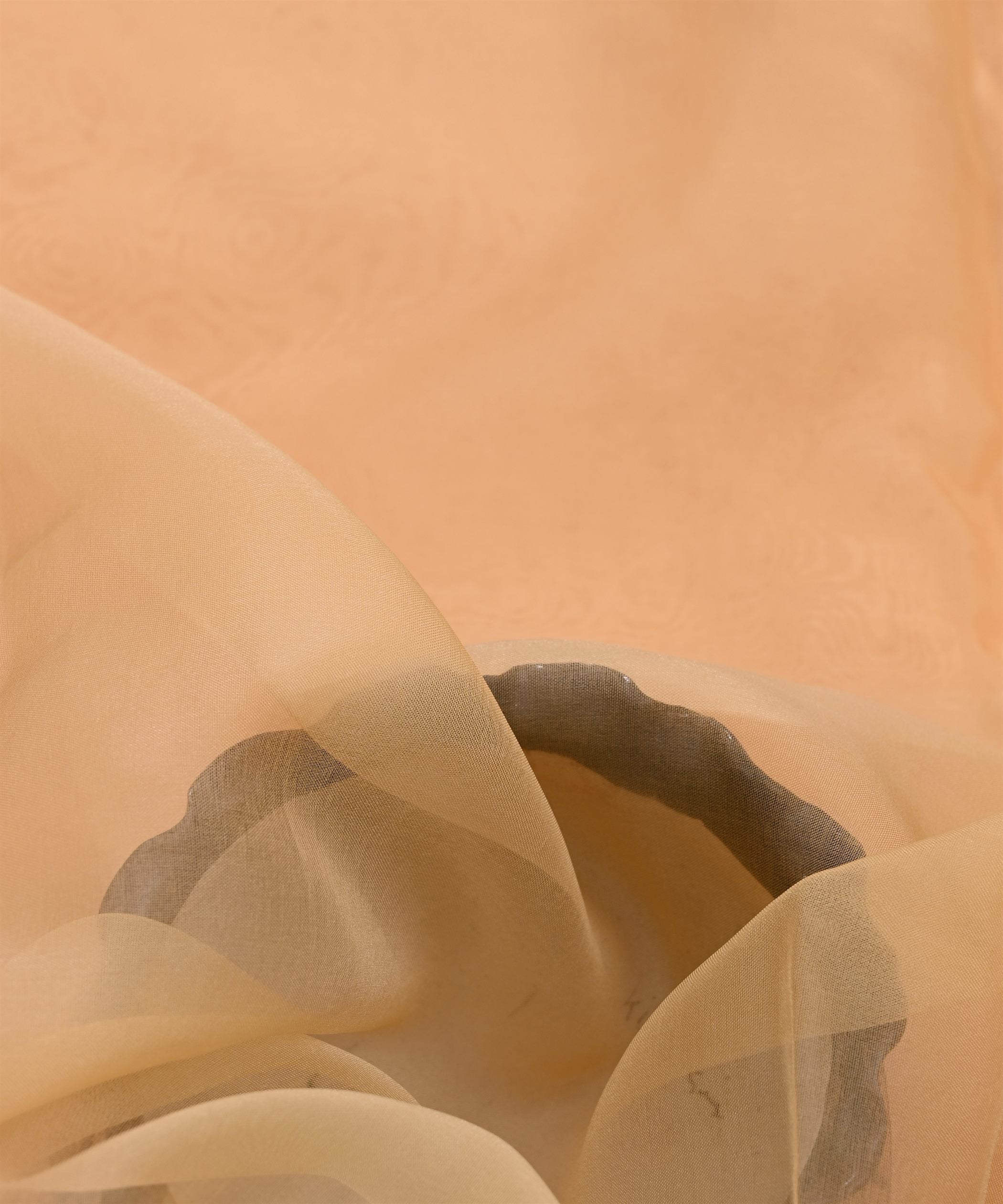 ORGANZA-SEPIA-FEEL0.jpg