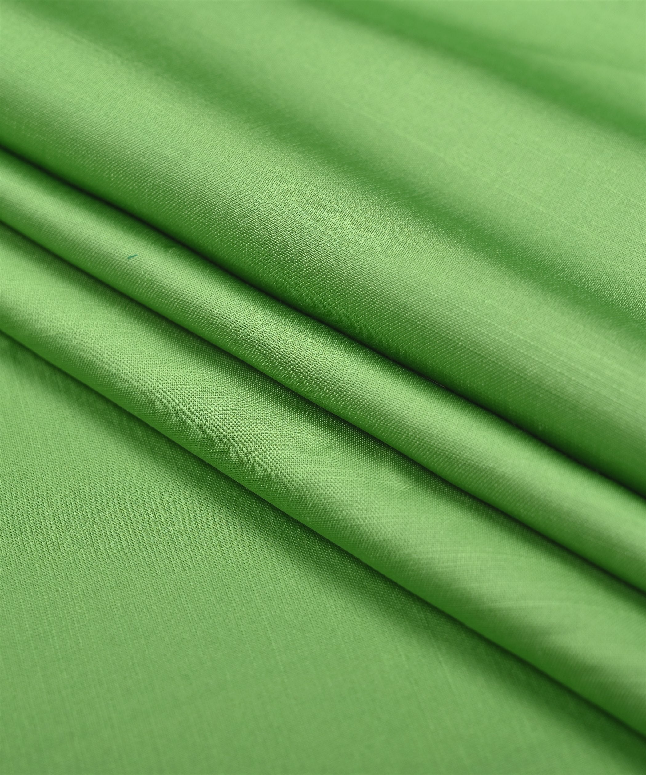 color_Parrot-Green