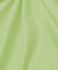 Pista Green Plain Dyed Tussar Silk Fabric