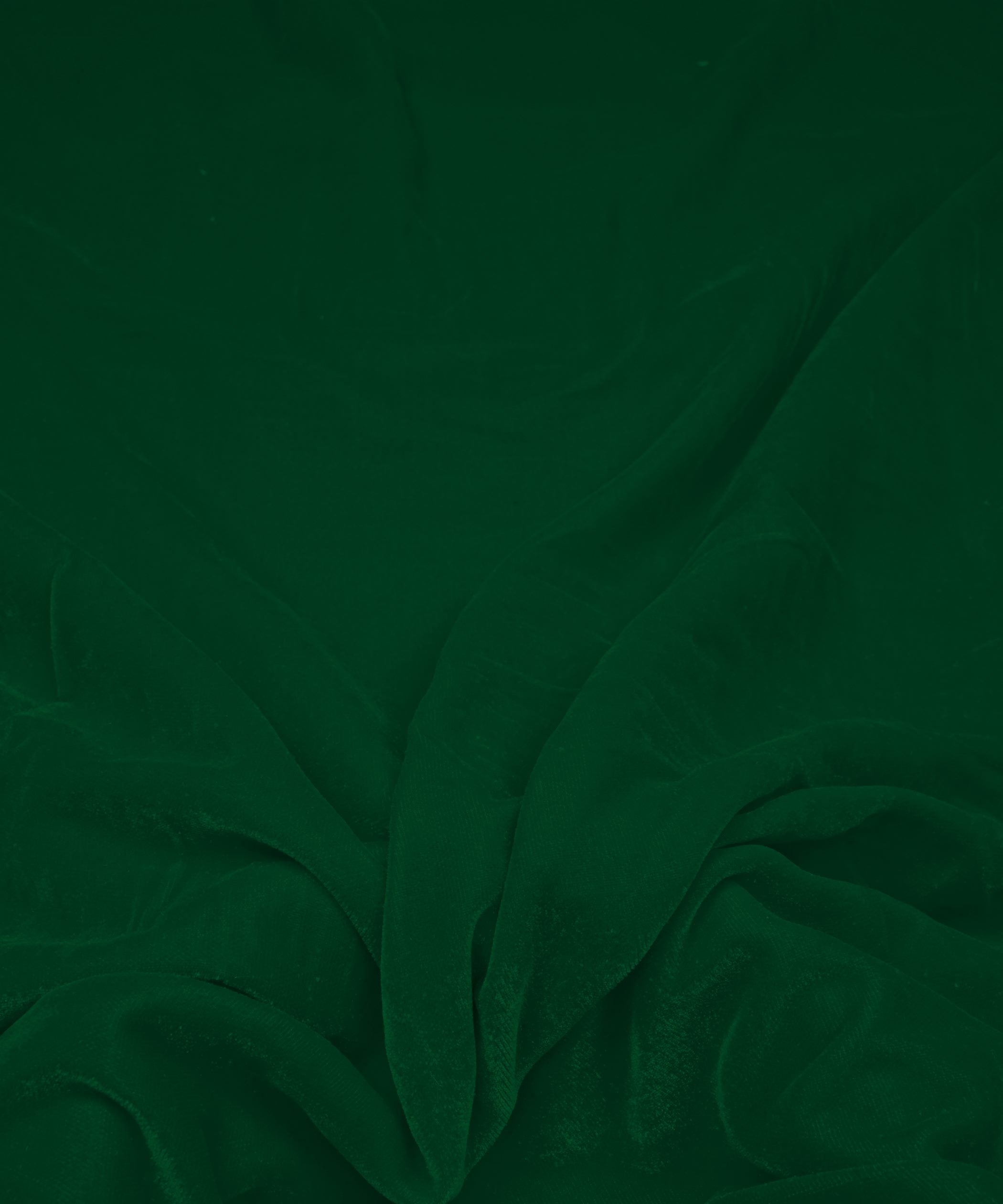 VELVET-GREEN-FEEL0.jpg